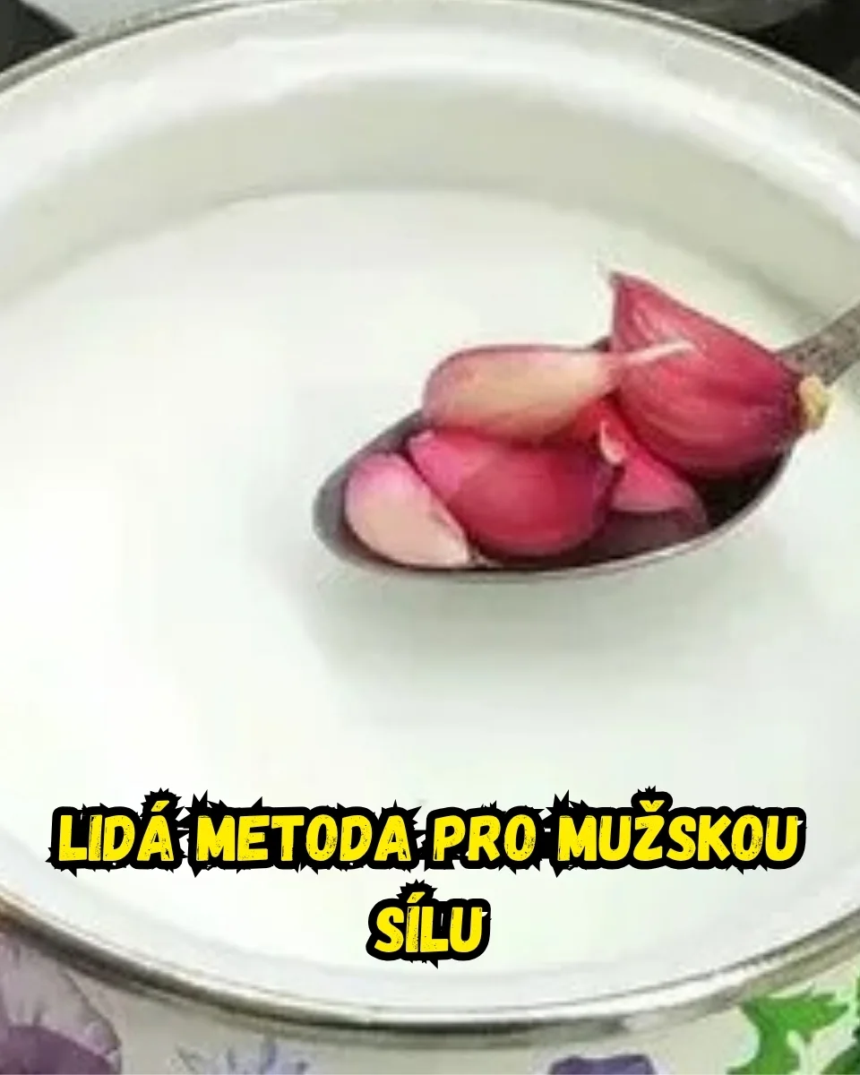 Přírodní prostředí a pohyb